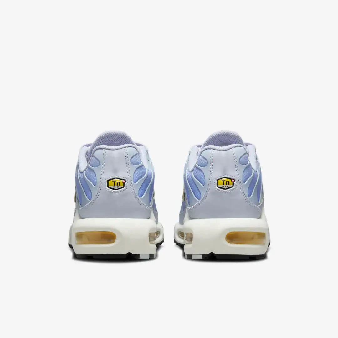 Nike TN Air Max Plus Daybreak