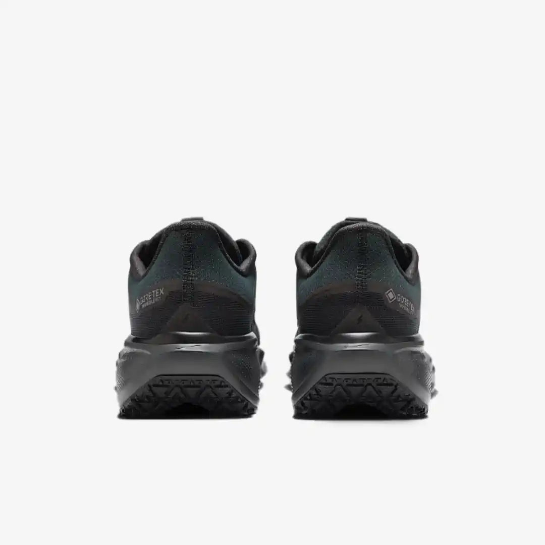 Nike Air Zoom Pegasus 41 Gore-Tex Black