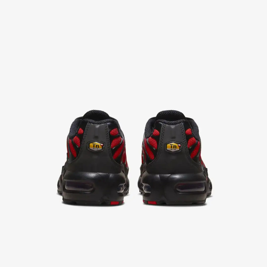 Nike Air Max Plus Tn Tuned
