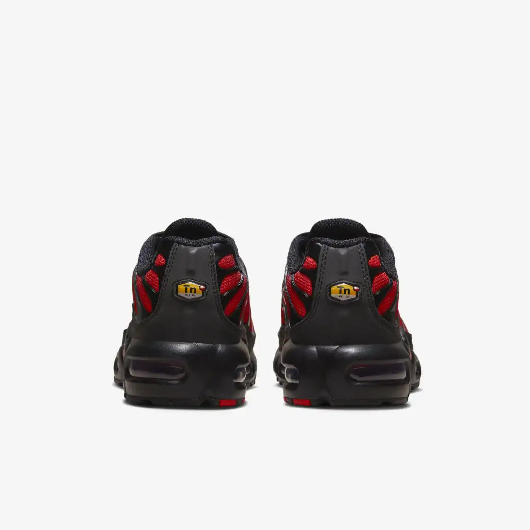 Nike Air Max Plus Tn Tuned